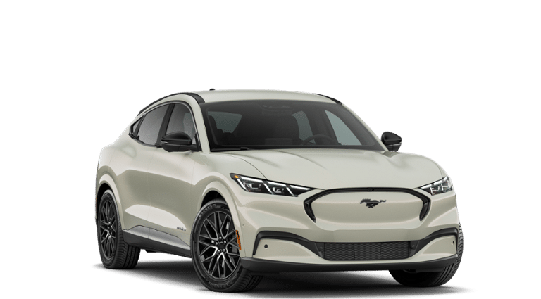 Mustang Mach-E® vehicle